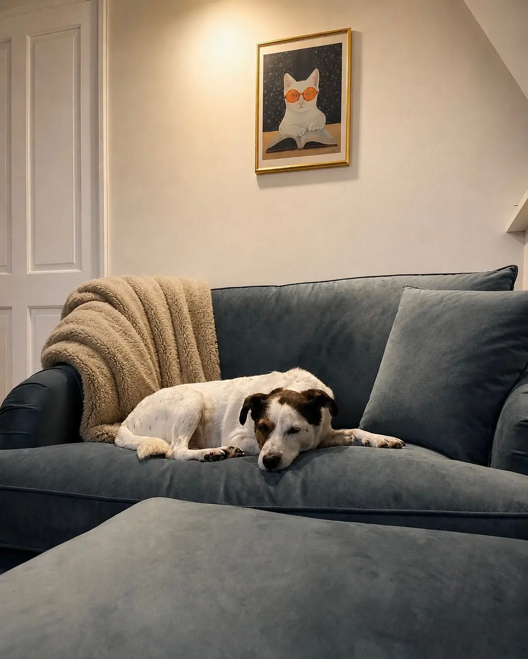 Frankie resting on a blue velvet sofa beneath a framed painting of a cat in orange sunglasses