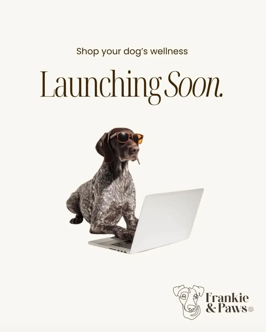 Launching soon — a Frankie & Paws editorial tile teasing the upcoming wellness range